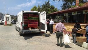 Tavuk Satışları Başladı