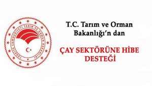 Çay Sektörüne Hibe Desteği