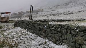 Rize'nin yaylalarına kar düştü