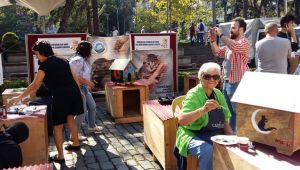 Trabzon'da 4 Ekim Dünya Hayvan Hakları Günü Etkinliği