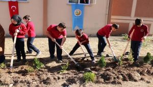 Pazar'da Fidan Dikme Seferberliği.