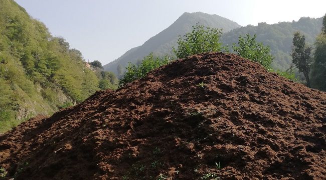 Çay fabrikalarının çay atıkları, toprağın gıdasıdır