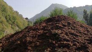 Çay fabrikalarının çay atıkları, toprağın gıdasıdır