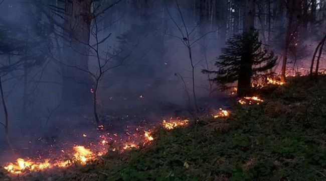 Trabzon Valiliği'nden Basın Açıklaması