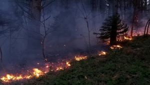 Trabzon Valiliği'nden Basın Açıklaması
