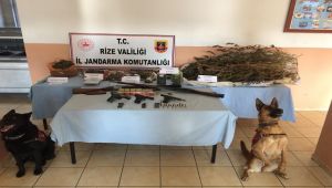 Uyuşturucu Madde Operasyonları Devam Ediyor!