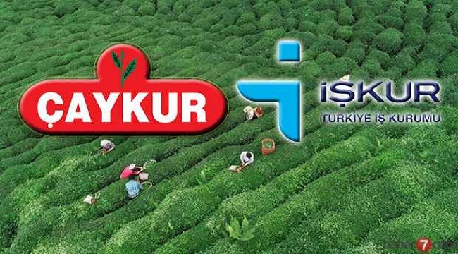 Rekor Başvuru!