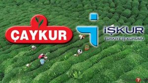 Rekor Başvuru!
