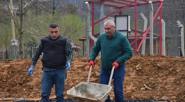 Sera Çalışmaları!