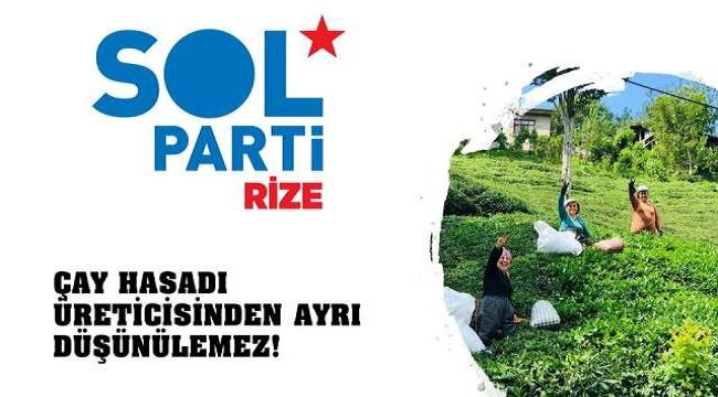 Çay Hasadı Üreticisinden Ayrı Düşünülemez!