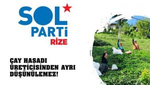 Çay Hasadı Üreticisinden Ayrı Düşünülemez!