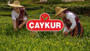 Budama Tespiti ve Ruhsat Devri Hakkında Açıklama