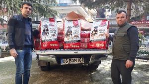 Sokak Hayvanları İçin Mama Yardımı!