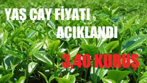İl Dışındaki Çay Üreticileri Özel izinle Dönebilecek