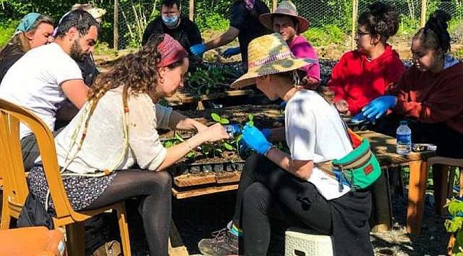 Rize Fındıklı'da Örnek Bir Çalışma