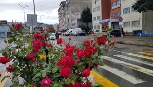 Rize Pazar'da Sokaklar Boş Kaldı