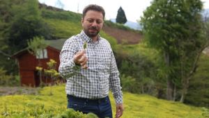 Rize’ye Gelmek İsteyenlerin Sayısı 100 binin Üzerinde