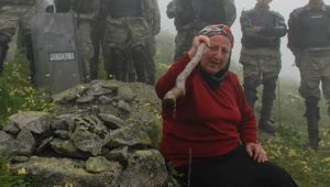 Danıştay, Karadeniz’deki “Yeşil Yol” projesini durdurdu