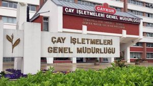 ÇAYKUR Eylül Ayı Yaş Çay Parasını Ödüyor