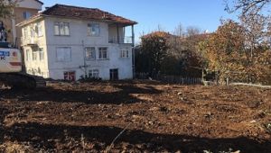 Fındıklı'yı Parklarla Donatacağız