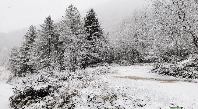 Meteorolojiden Doğu Karadeniz İçin Yoğun Kar Uyarısı