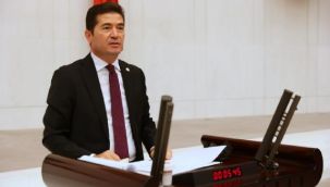 CHP'Lİ KAYA, 65 Yaş Üstü İçin Konuştu