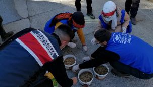Pazar Gençlik Merkezi Sokak Hayvanlarını Unutmuyor
