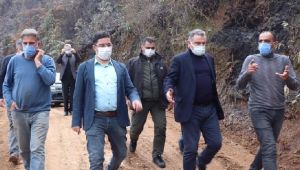 Yangın Alanında İnceleme