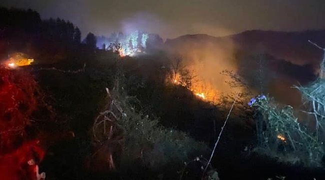 Ardeşen'in Işıklı Mahallesinde Orman Yangını Çıktı
