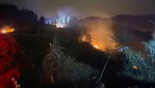 Ardeşen'in Işıklı Mahallesinde Orman Yangını Çıktı