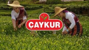 ÇAYKUR’dan Kota Açıklaması
