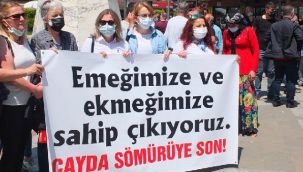 CHP: