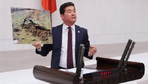 CHP'li KAYA