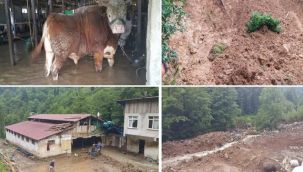 Rize'de Hasar Tespit Çalışmaları Devam Ediyor
