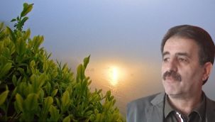 DENİZ: ‘Çay Kanunu’ Taslak Metnini Açıklayın