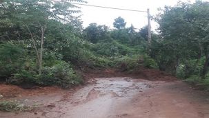 Rize Pazar'da Su Baskını ve Heyelanlar Korkuttu