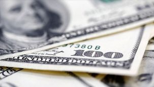 Dolar Tarihi Rekorunu Geçti