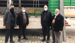 Pazar Tarım Kredi Kooperatifi Mandalina Alıyor