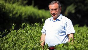 Alim'den 'Dünya Çay Günü' Kutlaması