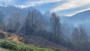 Rize Fındıklı'daki Yangında 3 Ev Zarar Gördü