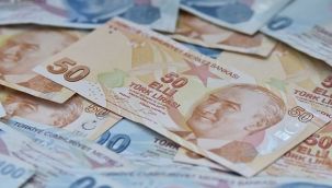 TL Mevzuatlarına Yeni Düzenleme