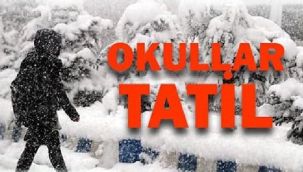 Rize'de 1 Günlük Kar Tatili