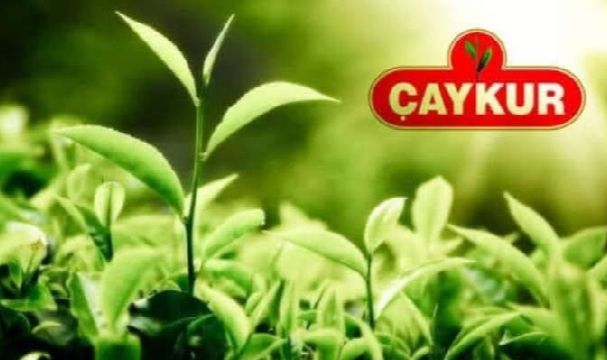 ÇAYKUR, Yaş Çay Destekleme Paralarını Ödedi