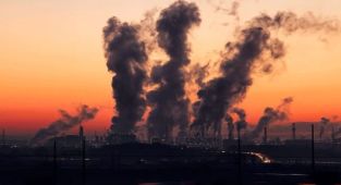 DSÖ: Dünya Nüfusunun Yüzde 99'u Sağlıksız Hava Soluyor