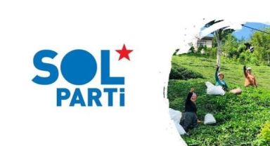 SOL Parti: Çay Üreticisi Hayal Kırıklığında!