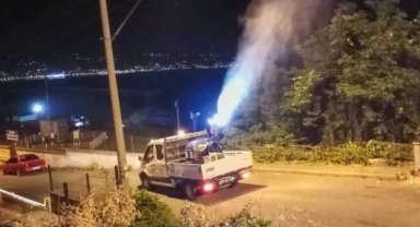 Giresun'da Belediye Sineklere Savaş Açtı