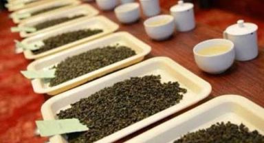 Rize Pazar Ziraat Odasından Üyelerine Mesleki Eğitim
