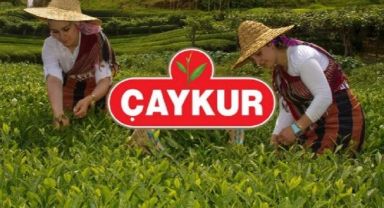 ÇAYKUR, 3'üncü Sürgün Alımına 1 Eylül'de Başlıyor