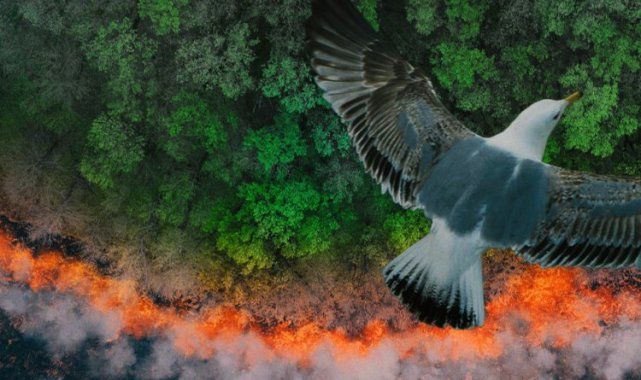 TEMA'dan 'Daha Yanmadan' Farkındalığı