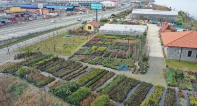 Rize'de 300 Bitki Türü Üretiliyor